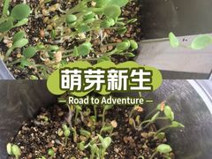 -碑林公园