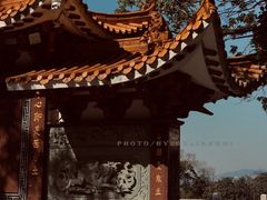 -深圳仙湖植物园