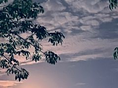 -露天矿生态公园