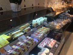 -蒲公英(五里店)