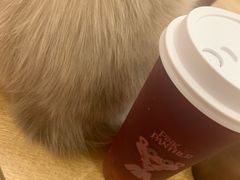-猫咪派对(江南西店)