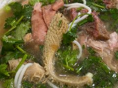 -华记潮州卤水车仔面(界限街店)
