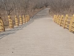 -塘沽森林公园