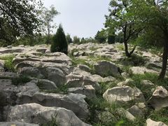 -原山国家森林公园