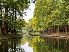 -上海共青森林公园