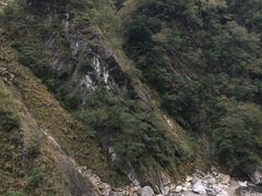 -太鲁阁公园
