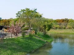 -嘉北郊野公园