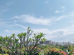 -立新湖公园