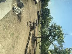 秦岭野生动物园-西安秦岭野生动物园