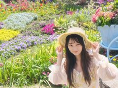 -苏州上方山国家森林公园