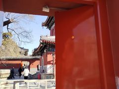 -北京艺术博物馆(万寿寺)