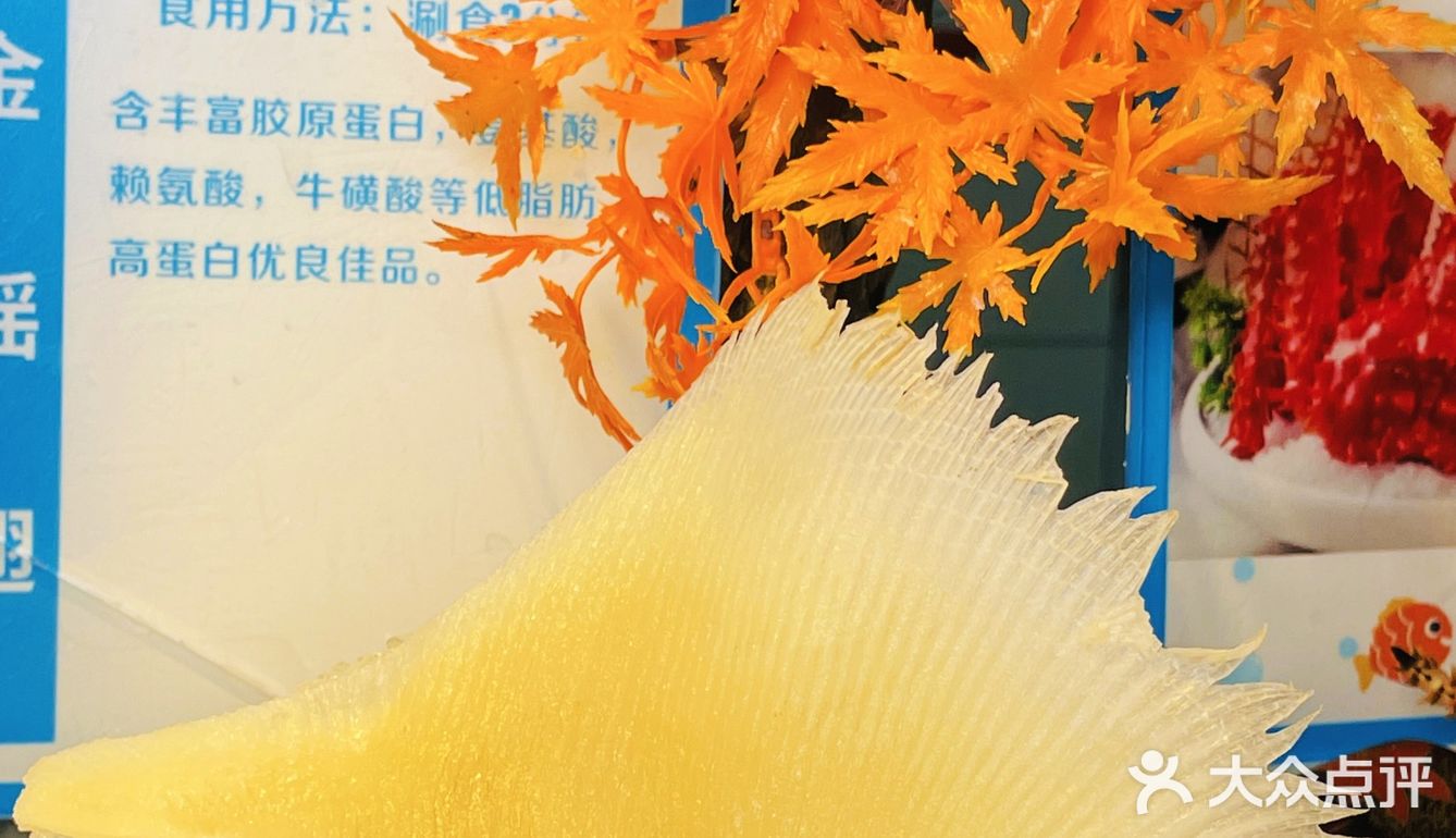 第一次吃300多种海鲜的海鲜盛宴