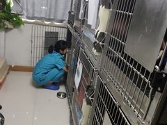 -pd派德宠物中心医院24H急重症·眼科中心·血液透析中心(嵩山北路店)