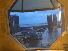 -新加坡丽思卡尔顿美年酒店