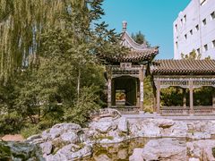 -善化寺