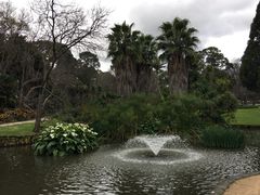 -斐兹洛伊花园