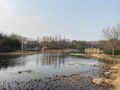 -长广溪湿地公园