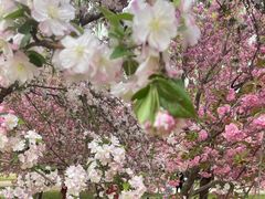 -莲花池公园