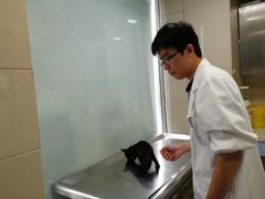 -申普宠物医院·心脏介入·心血管微创(总院)