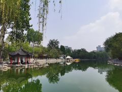 -莲湖公园
