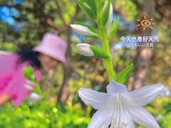 -国家植物园