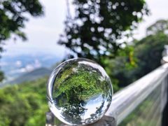 -黄埔油麻山森林公园