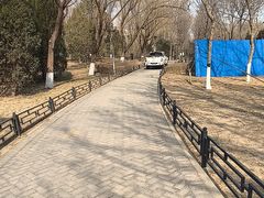 -大兴滨河森林公园