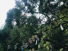 -少华山国家森林公园