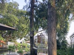 -蘇河湾·新鲁菜·泰山宴(泰山店)