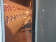 -金鹏航空有限责任公司(祝潘公路店)