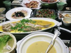 -三强鸽子(中原路店)