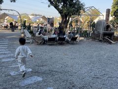 -长洲岛都市农业公园
