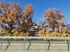 -北京石刻艺术博物馆(五塔寺)