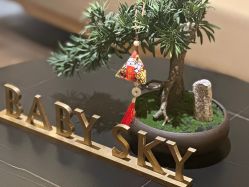 点击看大图 -裕月馨月子中心(滨江店)