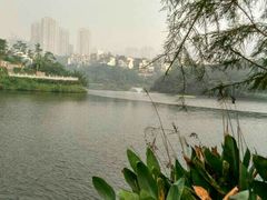 -重庆彩云湖湿地公园