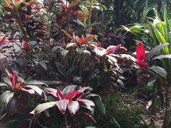 -南通洲际绿博园