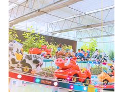-南宫五洲植物乐园