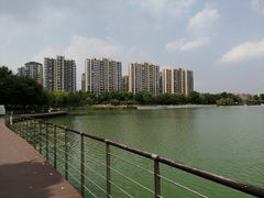 -南翔镇银翔湖公园