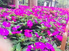 -艾溪湖湿地公园