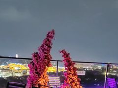 -烛影拾光观景餐厅·创意菜·摄影·小提琴(大唐不夜城店)