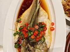 椒麻大黄鱼-祥记餐饮•豫粤珍味(金隅大厦店)
