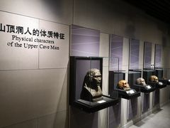 -北京周口店北京人遗址博物馆