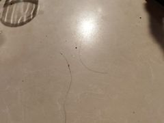 -妈妈家铁锅炖(景诚园综合楼店)