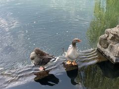 -老牌坊鲁菜名店(宽厚里店)