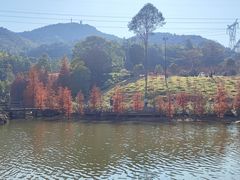 -广州市帽峰山景区