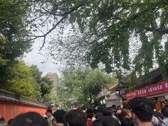-洞子口张老二凉粉(文殊院店)