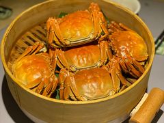 成隆行精选大闸蟹-成隆行·蟹王府(九江路店)