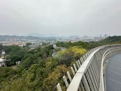 -福道