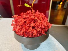 -星·South Beauty·俏江南(国贸店)