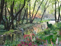 -上海共青森林公园